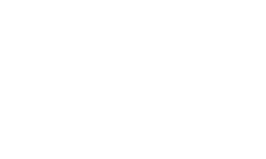AF Logo white